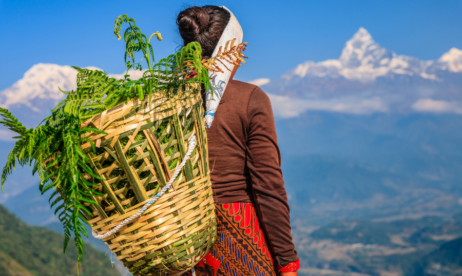 Nepali woman at work in the fields